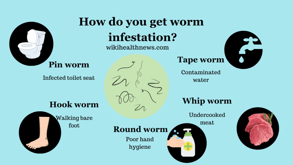 worm-infestation-signs-or-symptoms-treatment-blogautoworld